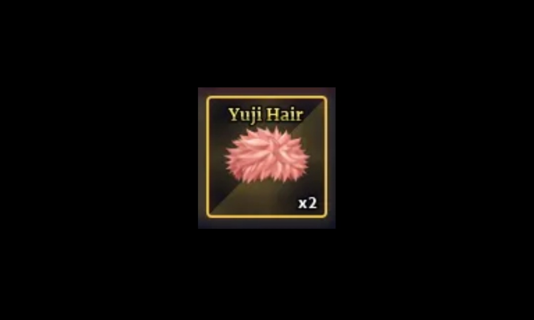 Yuji Hair